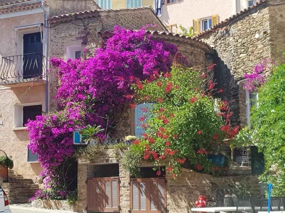 maison vacance Médiévale Bormes-les-Mimosas village Esterno foto