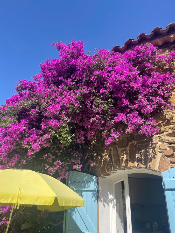 maison vacance Médiévale Bormes-les-Mimosas village Esterno foto