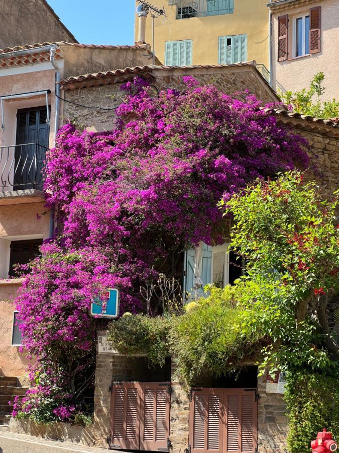 maison vacance Médiévale Bormes-les-Mimosas village Esterno foto