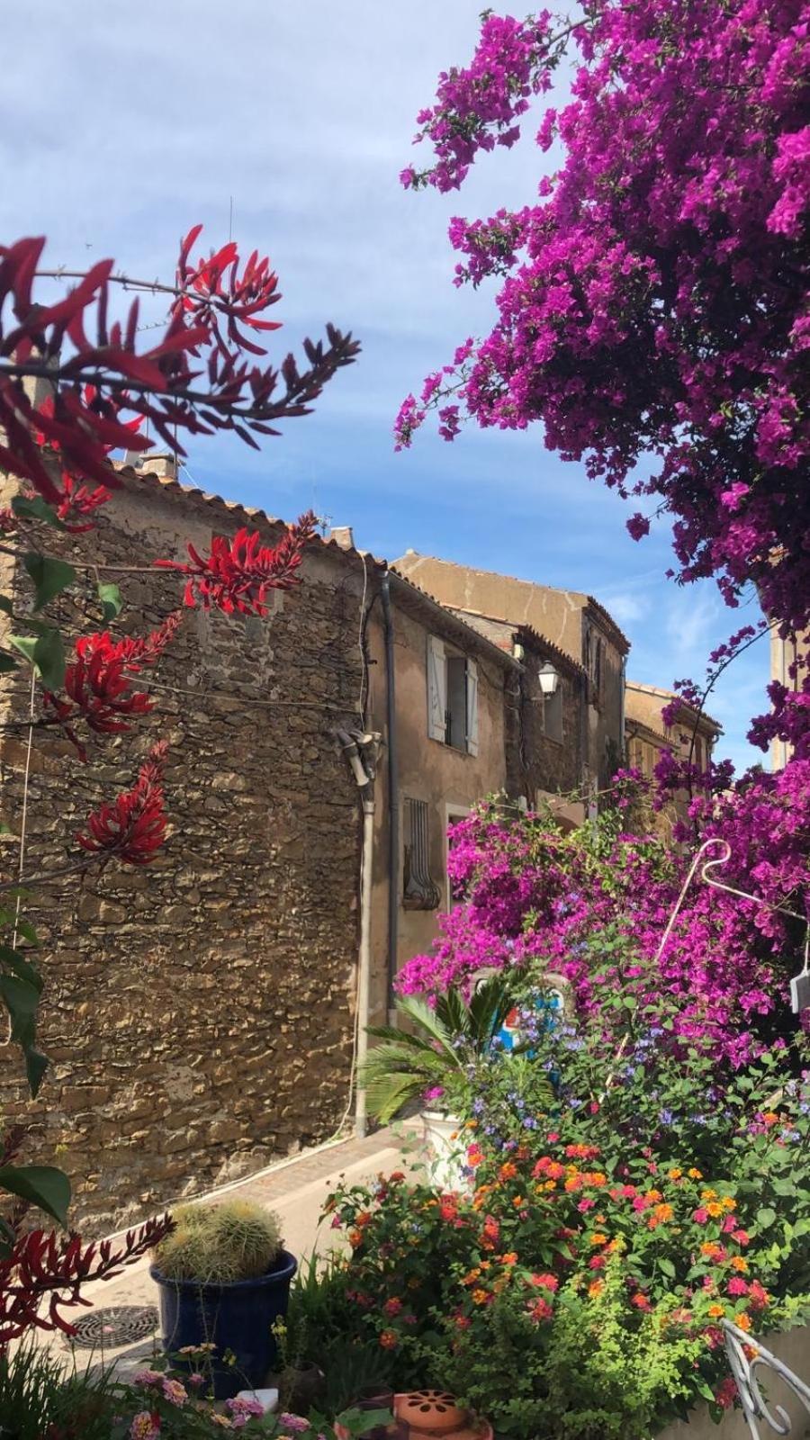 maison vacance Médiévale Bormes-les-Mimosas village Esterno foto